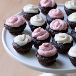 Chocolate Cupcakes