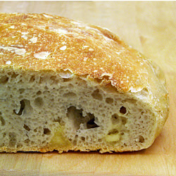 No Knead Sourdough Cheese Bread