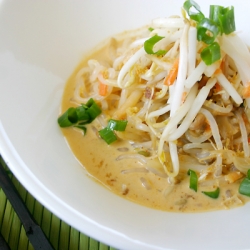 Shirataki Curry Noodles