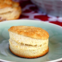 Buttermilk Biscuits