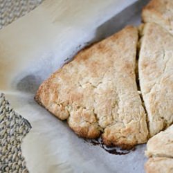 Vanilla Bean Scones