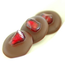 Pomegranate Seeds in Chocolate