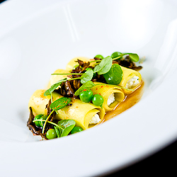 Ricotta Cannelloni with Maitake