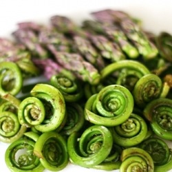 Tagliatelle with Fiddlehead Ferns