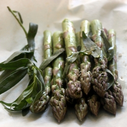 Make Room for Asparagus!