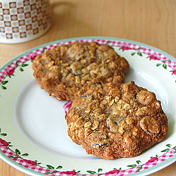 Chocolate Chip Pecan Oatmeal Cookie