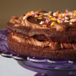 Decadent Chocolate Cake