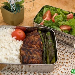 Teri-Q Salmon Bento & Giveaway