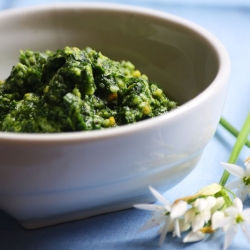 Wild Garlic Pesto