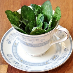 Truffled Spinach Chips