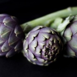 Artichokes