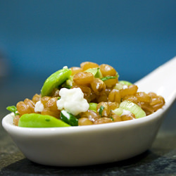 Green Garlic Fava Wheat Berry Salad