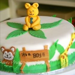 Fondant Cake