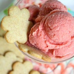 Tart Cherry Frozen Yogurt