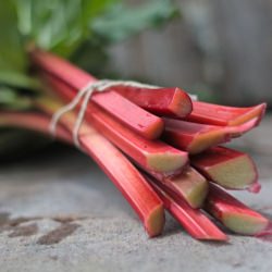 Spotlight Ingredient: Rhubarb