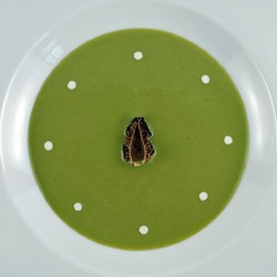 Spring Asparagus Soup