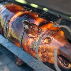 Pig Roast