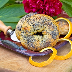 Orange Poppy Seed Bagels