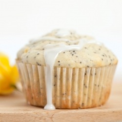 Citrus-y Lemon Poppy Seed Muffins