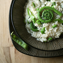 Fiddlehead, Fava & Snowpea Risotto