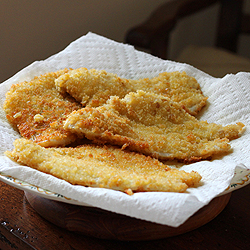 Panko Crusted Flounder