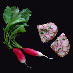 French Breakfast Radish Tartines