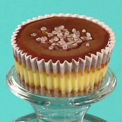 Salted Caramel Cheesecake Cups