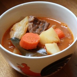 Chinese Borscht Soup