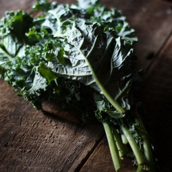 Baked Kale Chips