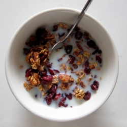 Crisp Applesauce Granola