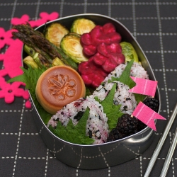 Not Your Kid’s Bento