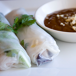 Vietnamese Spring Rolls