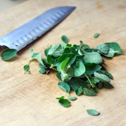 Oregano & Basil Pesto with Walnuts