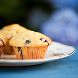 Blueberry Cornmeal Muffins