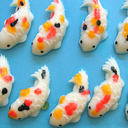 Koi Fish Jelly