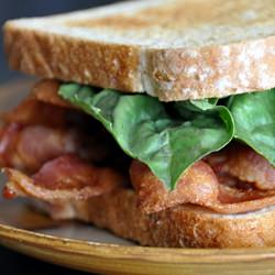 Bacon & Basil Sandwich