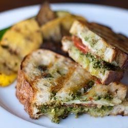 Tomato, Mozzarella, & Pesto Paninis