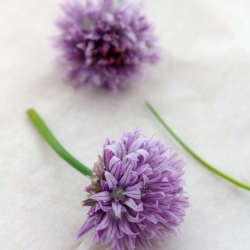 Chive Blossom Tempura