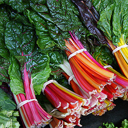 GrowCookEat: Swiss Chard Recipes