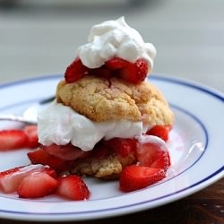 Tender Shortcakes