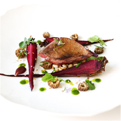 Pigeon Salad