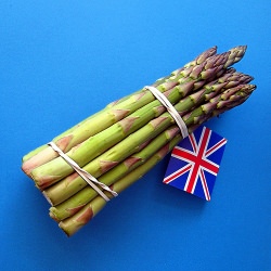 Asparagus Holstein