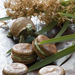 Chocolate Macarons