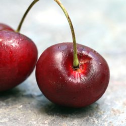 Cherry Rosemary Focaccia