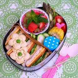 “Picnic for One” Bento