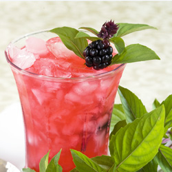 Blackberry Cinnamon Basil Gin Fizz