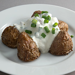 Red Potatoes with Sour Cream Sauce