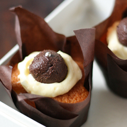 Black Truffle & Vanilla Cupcakes