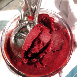 Mixed Berry Frozen Yogurt Sherbet