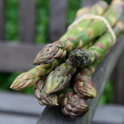 English Asparagus